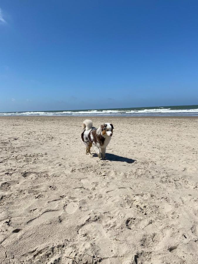 La Chatelaine Egmond aan Zee Exterior foto